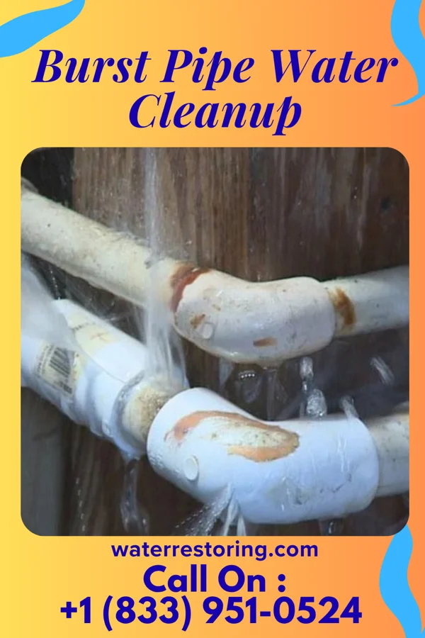 Burst Pipe Water Cleanup in Twin Forks, NM