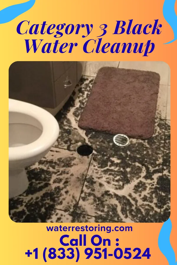 Category 3 Black Water Cleanup in Twin Forks, NM