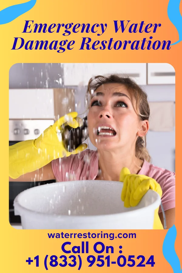 Emergency Water Damage Restoration in Twin Forks, NM