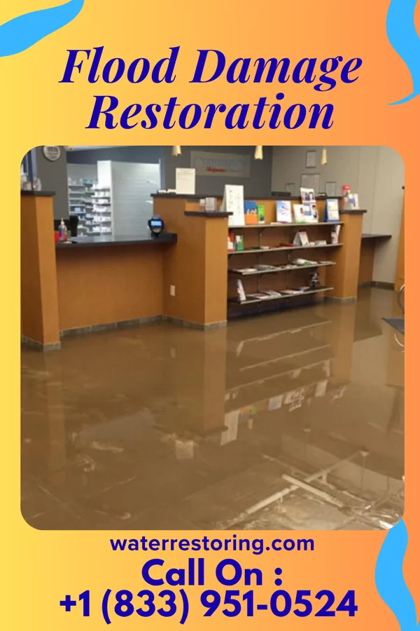 Flood Damage Restoration in Twin Forks, NM