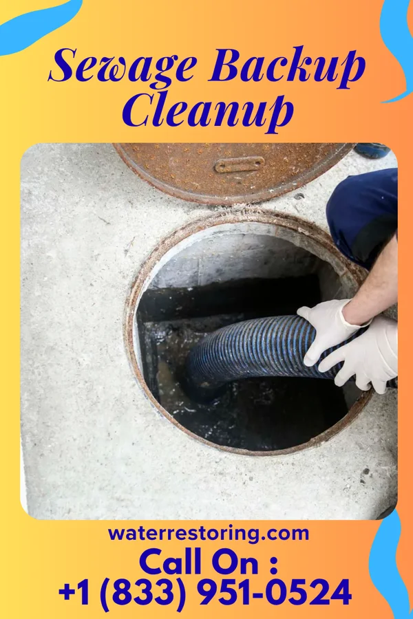 Sewage Backup Cleanup in Twin Forks, NM