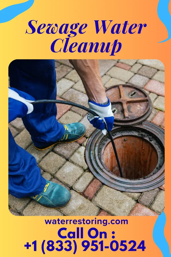 Sewage Water Cleanup in Twin Forks, NM