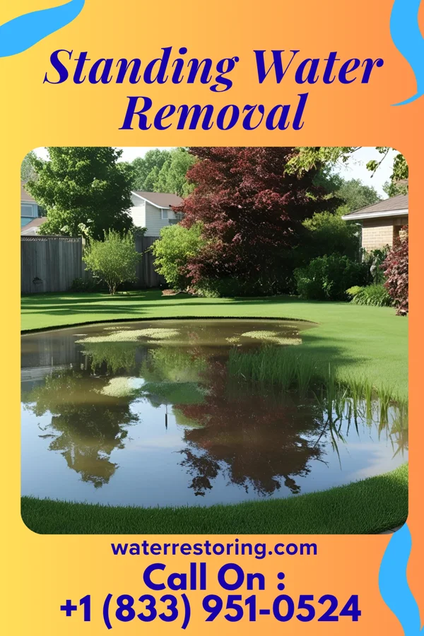 Standing Water Removal in Twin Forks, NM
